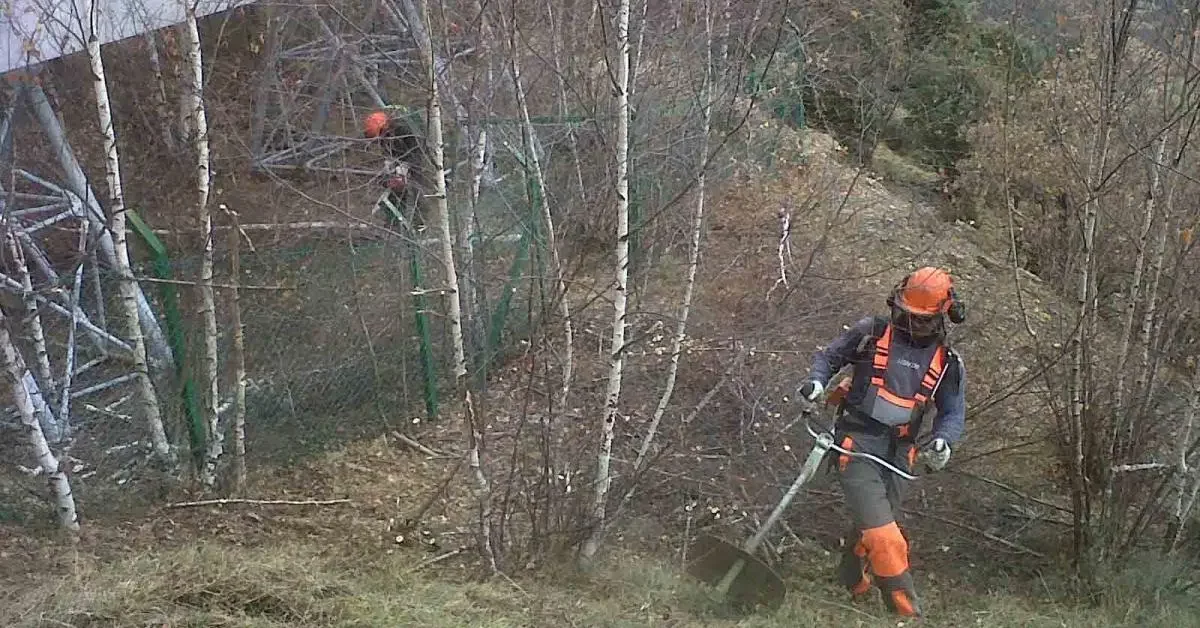 Clearing dry grass on an embankment