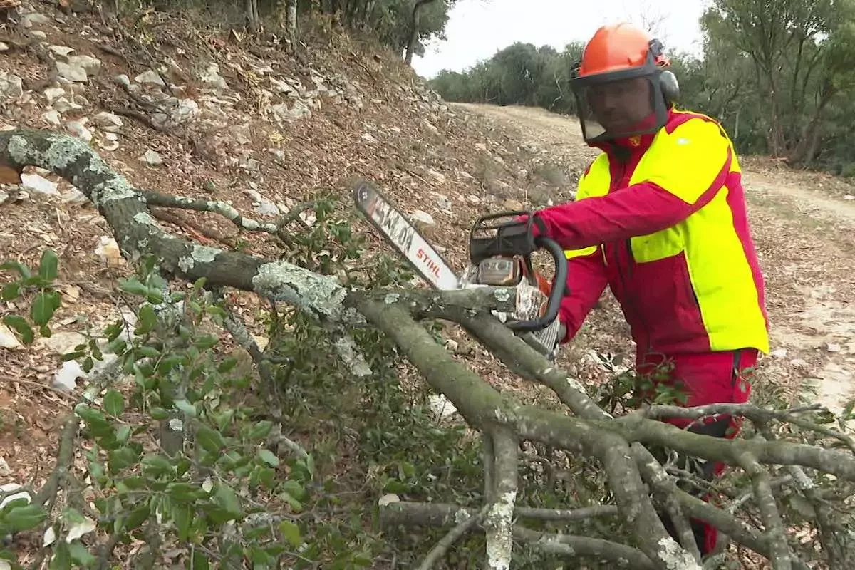 Clearing Green Spaces: Clearing brush and cleaning up roadside verges