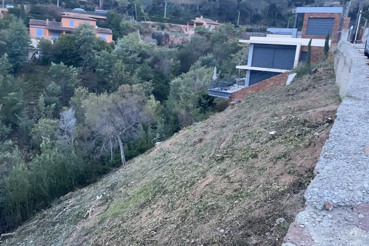 Débroussaillage et déboisement total, et abattage des arbres avant les travaux de construction