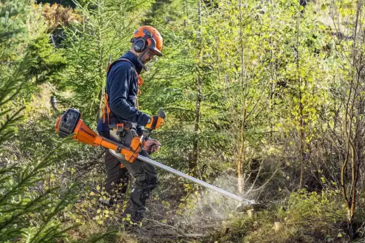 Prix de débroussaillage: Un débroussailleur en train de faucher des ronces