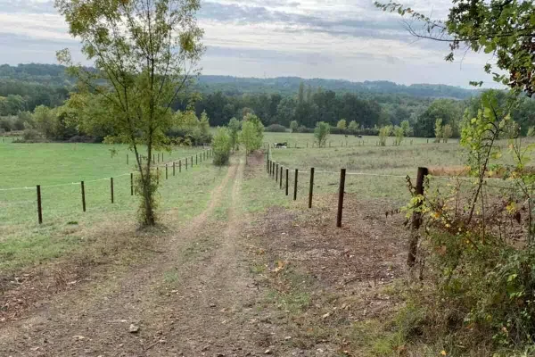 Pose de clôture électrique sur poteaux de bois